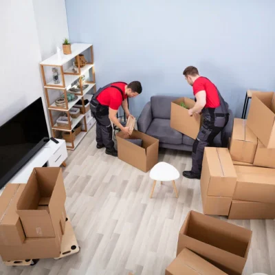 removal company workers packing things